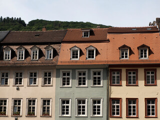 heidelberg ancient building detail close up