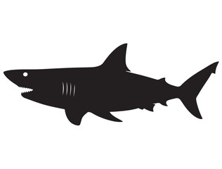 SHARK SILHOUETT