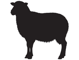 SHEEP SILHOUETTE
