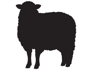 SHEEP SILHOUETTE