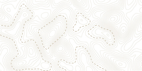 Vector Mountain Topography With Elevation Contour Lines Texture Topo Landscape Vector