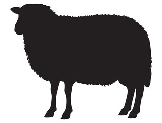 SHEEP SILHOUETTE