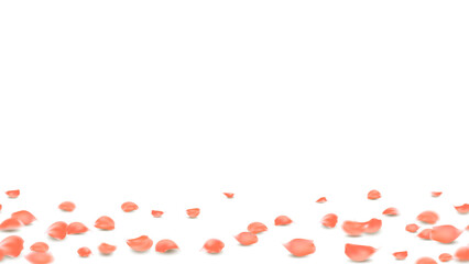 Orange rose petals gently falling and scattered across a transparent background