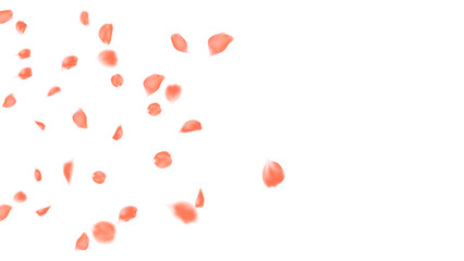 Realistic orange rose petals flying floating motion vector. Romantic event background, floral wedding invitation