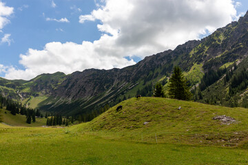 A sweeping panoramic view of the majestic Bavarian Alps, showcasing the vibrant green alpine meadows