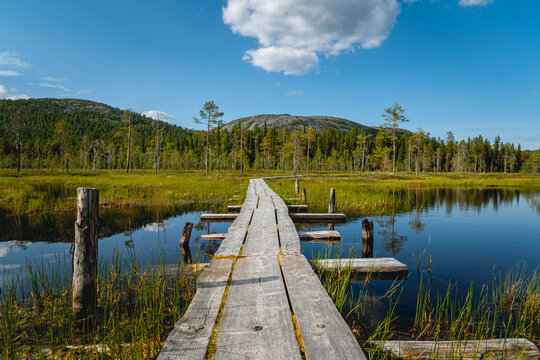 Wooden boardwalk crosses serene lake surrounded by green trees and hills under a bright blue sky with white clouds