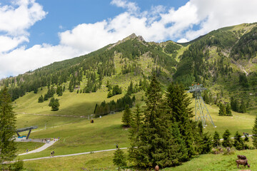 A picturesque scene unfolds in a verdant alpine valley within the Bavarian Alps, often encountered...