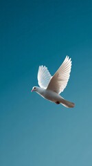 Fototapeta premium White dove soaring gracefully against a vibrant blue sky, embodying concepts of peace, hope, freedom, and spirituality, perfect for conveying messages of tranquility and optimism