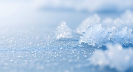 A beautiful close-up of natural ice crystals and snowflakes on a frozen surface with a soft blue winter background.