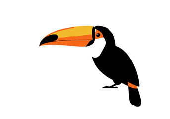Colorful Cartoon Toucan Bird with Large Orange and Yellow Beak.
