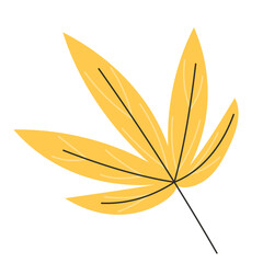 Yellow Japanese Maple Leaf Flat Style on White Background