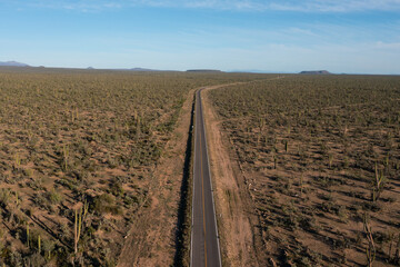Aerial view of a long highway crossing the desert landscape of Baja California Sur, Mexico, with cardon cactus and mountains in the background