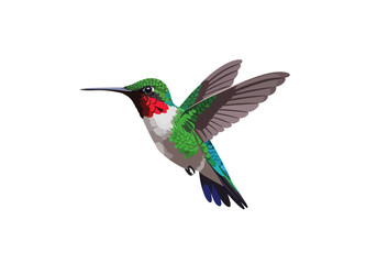 Vibrant Hummingbird in Flight with Green Red and Blue Plumage.