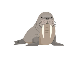 Cartoon Walrus with Tusks Gray Fur and Whiskers Front View.