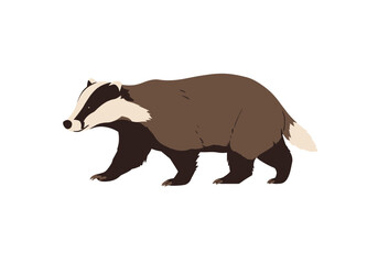 Stylized Badger Walking Sideways with Distinctive Black and White Markings.