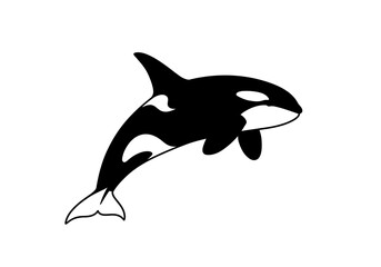 Black and White Orca Whale Silhouette Leaping Pose Marine Mammal Graphic.