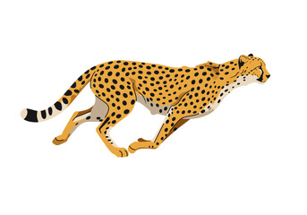 Vector Illustration of a Running Cheetah with Black Spots on Yellow Fur.