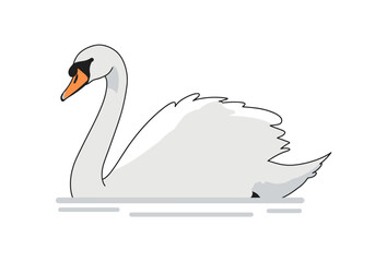 Elegant White Swan with Orange Beak Graceful Posture on Water.