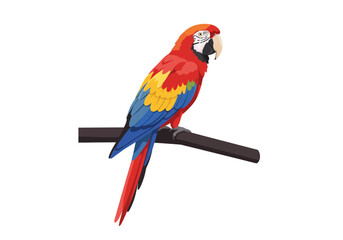 Vibrant Macaw Perched on Branch Colorful Feathered Bird.