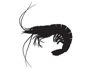 SHRIMP SILHOUETTE
