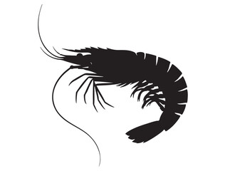 SHRIMP SILHOUETTE