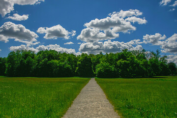 Landscape of a footpath between the grassland leading to the green forest