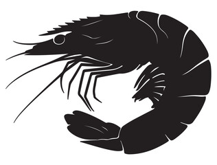 SHRIMP SILHOUETTE