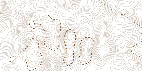 Business concept. Fish Fillet Texture, Salmon fillet texture, fish pattern. paper texture. Topography and geography map grid abstract backdrop.
