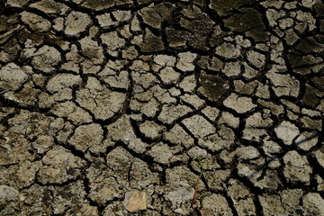 dry cracked earth