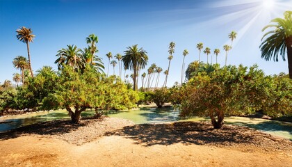 fruit trees and palms in california citrus state historic park riverside california usa