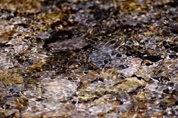 close up of a stone with water