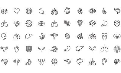 Essential Medical Supplies, Hospital Equipment & Healthcare Professionals: Complete Guide with Images