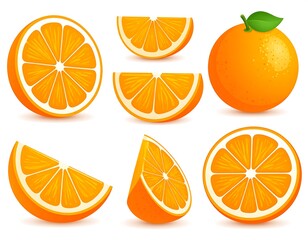 Orange slices and whole orange, realistic illustration