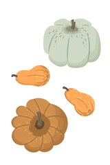 Cute autumn pumpkins, top and side view. Modern vector illustration, isolated on a white background, hand-drawn, flat design