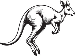 Dynamic Kangaroo Jumping Vector Illustration in Black and White Style on Transparent BG
