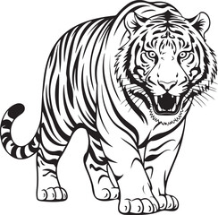 Ferocious Tiger Roaring Jungle Predator Wildlife Animal Vector Illustration Art