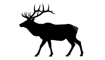 Silhouette of a walking elk