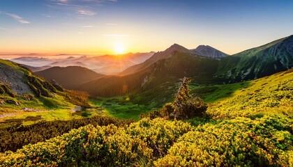 mountain valley in slovakia with a golden sunrise casting a warm glow on the lush green landscape and surrounding mountain peaks scenic exploration