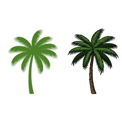 Vibrant palm trees evoke tropical paradise, perfect for summer and vacation themes