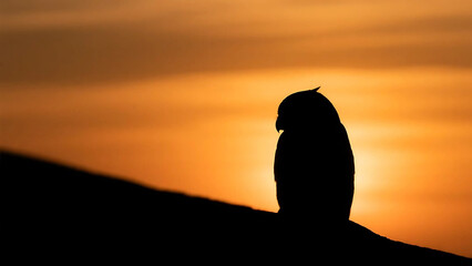 silhouette of a animal