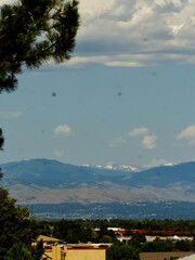 Trees, Commercial Buldings, and Mountains!