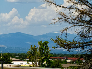 Fototapeta premium Trees, Commercial Buldings, and Mountains!