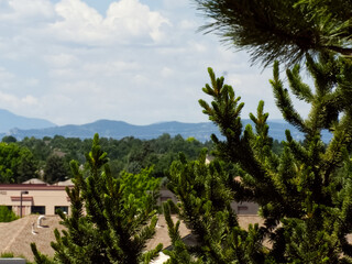 Green Trees, Blue Skies, and White Clouds!