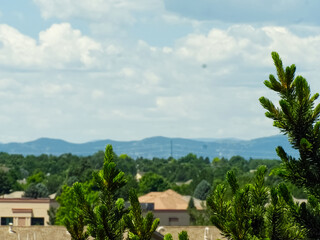 Trees, Buildings, and Clouds