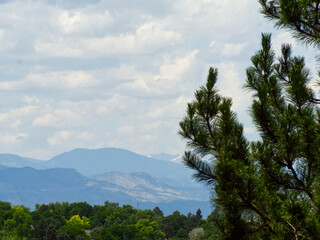 Obraz premium Trees, Buildings, and Clouds