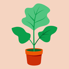 Fototapeta premium plant in pot