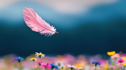 Softness A feather floating above a field of wildflowers in the gentle breeze.