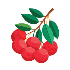 A vibrant cluster of ripe bright red lychee fruits hanging from a branch isolated on white background