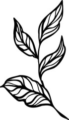 Hand drawn simple flower outline