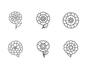 Delicate Flower Outline Collection for Botanical Designs and Creative Projects Featuring Elegant Floral Line Art Illustrations